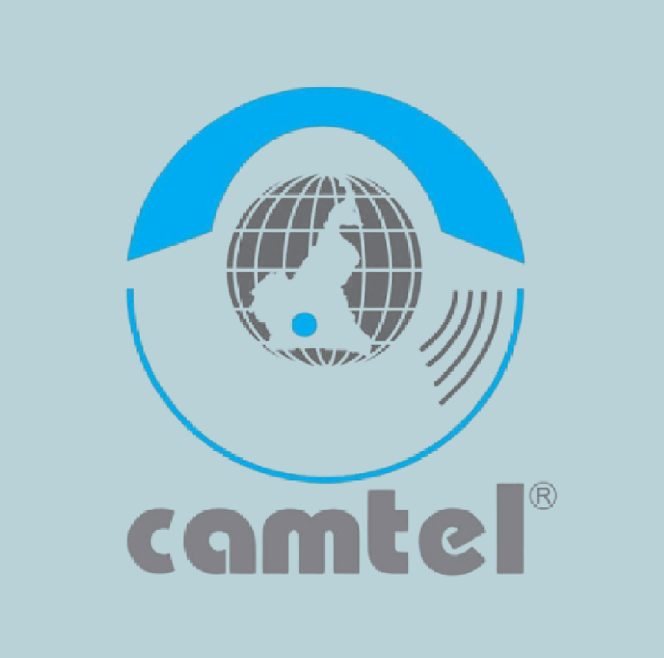 CAMTEL Logo