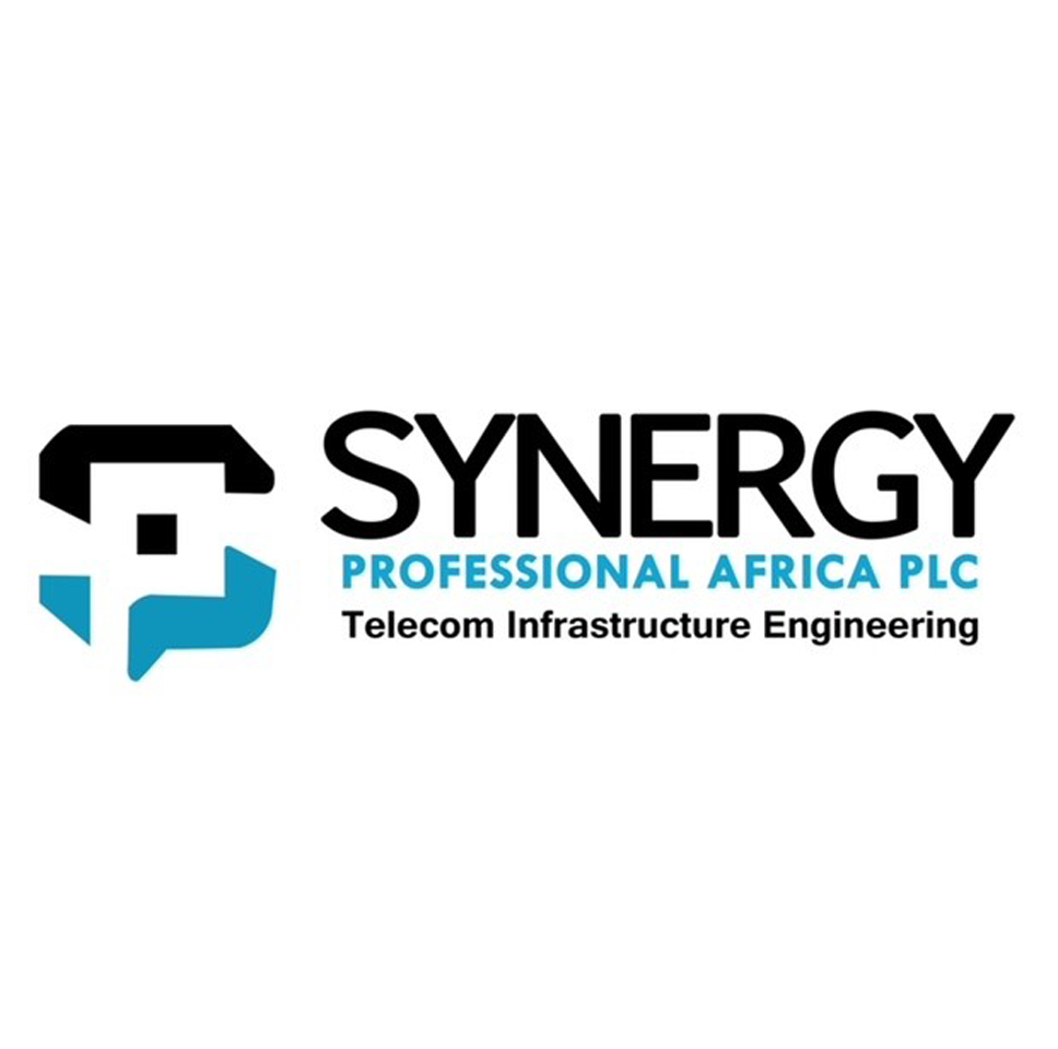 Synergy Logo
